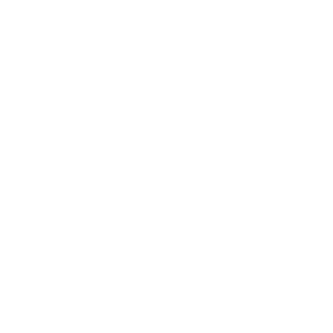 SNOWFALL
